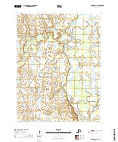 Dillingham A-5 SW topographic map thumbnail