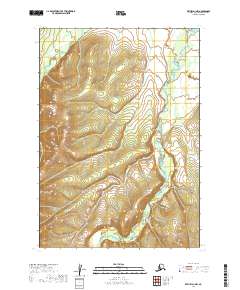 Bethel D-1 NW topographic map thumbnail