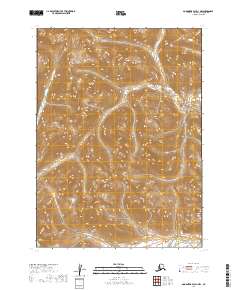 Goodnews Bay D-1 NW topographic map thumbnail