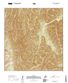 Iditarod A-1 SW topographic map thumbnail