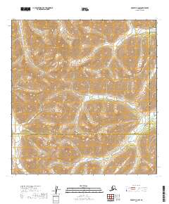 McGrath A-2 SW 2019 topographic map thumbnail