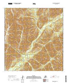 McGrath A-5 SE 2019 topographic map thumbnail