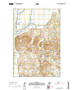 Nushagak Bay D-2 NE topographic map thumbnail
