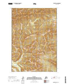 Sleetmute C-5 NE topographic map thumbnail