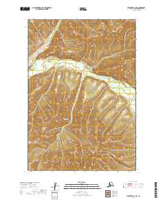 Sleetmute C-6 NE topographic map thumbnail