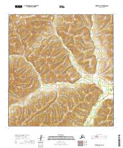 Iditarod B-1 SW topographic map thumbnail
