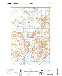 Nushagak Bay D-3 NE topographic map thumbnail