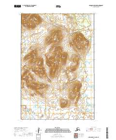 Nushagak Bay D-4 NW topographic map thumbnail