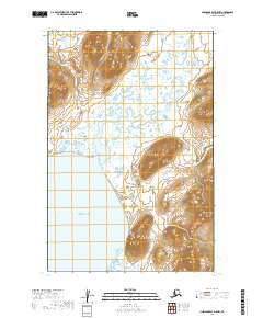 Nushagak Bay D-5 NW topographic map thumbnail