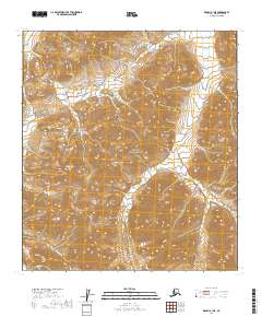 Denali B-1 NE 2019 topographic map thumbnail