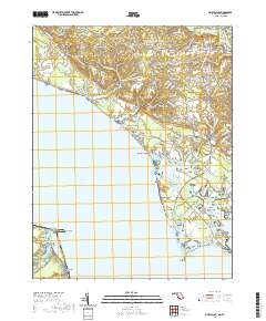 Piney Point 2019 topographic map thumbnail