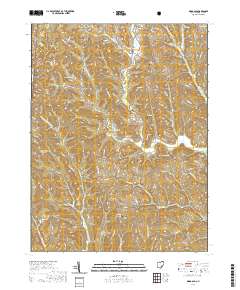 Ringgold 2019 topographic map thumbnail