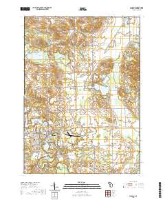 Allegan 2019 topographic map thumbnail