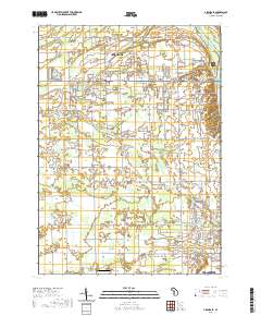 Allendale 2019 topographic map thumbnail