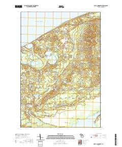 Betsy Lake North 2019 topographic map thumbnail