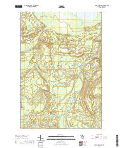 Betsy Lake South 2019 topographic map thumbnail
