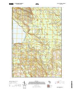 Black Lake Bluffs 2019 topographic map thumbnail