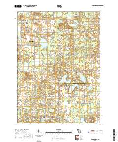 Bloomingdale 2019 topographic map thumbnail