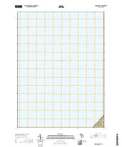 Bridgman OE W 2019 topographic map thumbnail