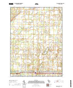 Bronson South 2019 topographic map thumbnail