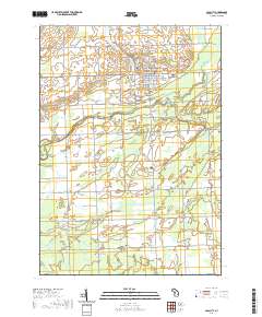 Cass City 2019 topographic map thumbnail