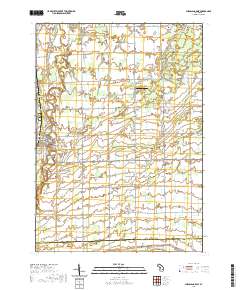 Chesaning East 2019 topographic map thumbnail