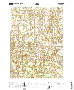 Dansville 2019 topographic map thumbnail
