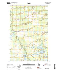 Driggs Lake SE 2019 topographic map thumbnail