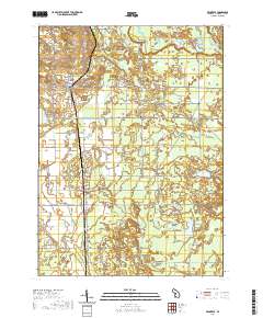 Fennville 2019 topographic map thumbnail