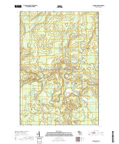 Hickman Lake 2019 topographic map thumbnail