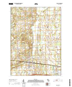 Imlay City 2019 topographic map thumbnail