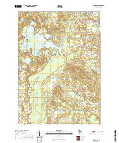 Mecosta NW 2019 topographic map thumbnail