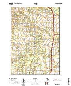 Mount Forest 2019 topographic map thumbnail
