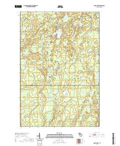 Nelson Lake 2019 topographic map thumbnail
