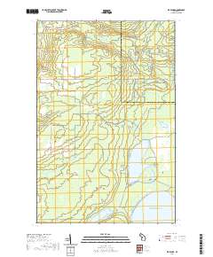 Rice Lake 2019 topographic map thumbnail