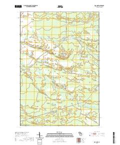 Roy Lake 2019 topographic map thumbnail