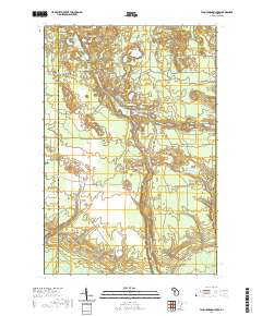 Tahquamenon Lakes 2019 topographic map thumbnail