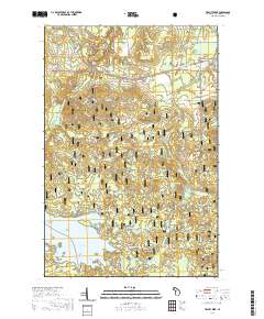 Trout Creek 2019 topographic map thumbnail
