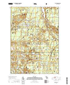 Wellston 2019 topographic map thumbnail