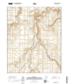 Tucumcari SE 2020 topographic map thumbnail
