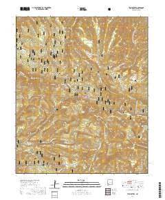 Twin Sisters 2020 topographic map thumbnail