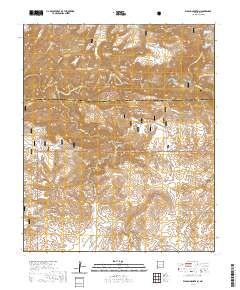 Wilson Mountain 2020 topographic map thumbnail