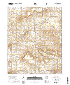 Abbott Lake 2020 topographic map thumbnail