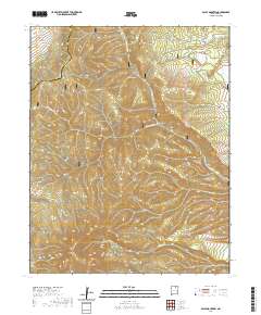 Baldy Mountain 2020 topographic map thumbnail