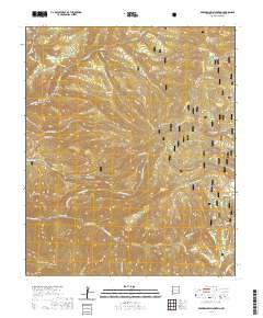 Bearwallow Mountain 2020 topographic map thumbnail