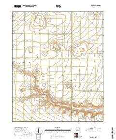 Bellview 2020 topographic map thumbnail