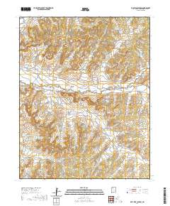 Billy Rice Canyon 2020 topographic map thumbnail