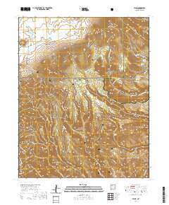 Bland 2020 topographic map thumbnail