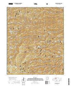 Bluff Springs 2020 topographic map thumbnail