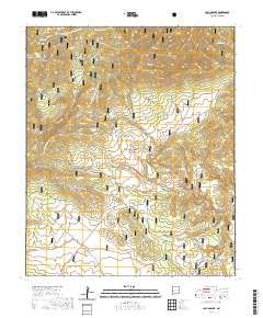 Collins Park 2020 topographic map thumbnail